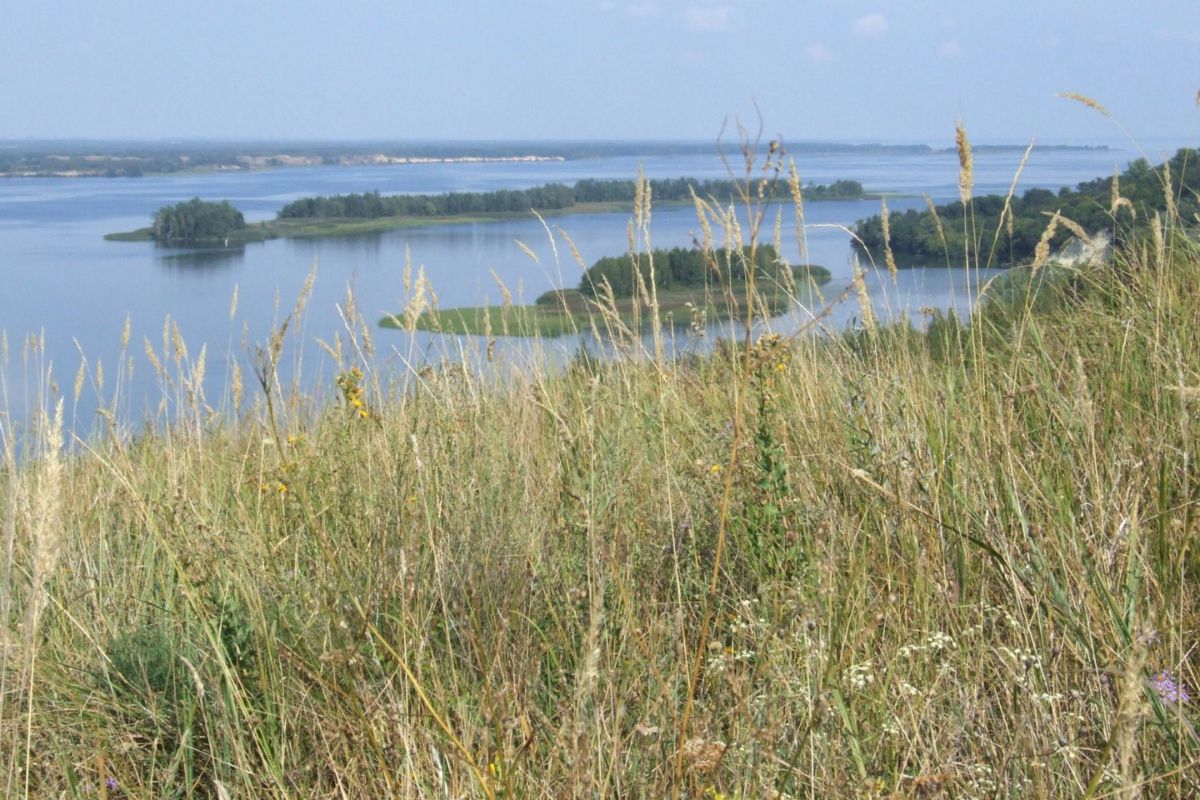 Дніпровське зледеніння: велетенський льодовик, що сформував рельєф України